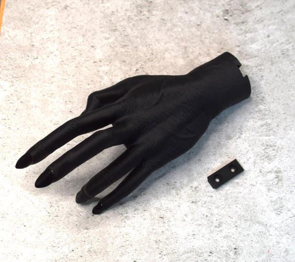🧛♀️🩸Witch Hand Decoration