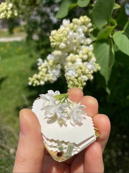 💐2025 Micro Flower Press