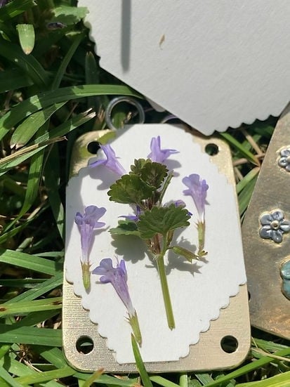 💐2025 Micro Flower Press