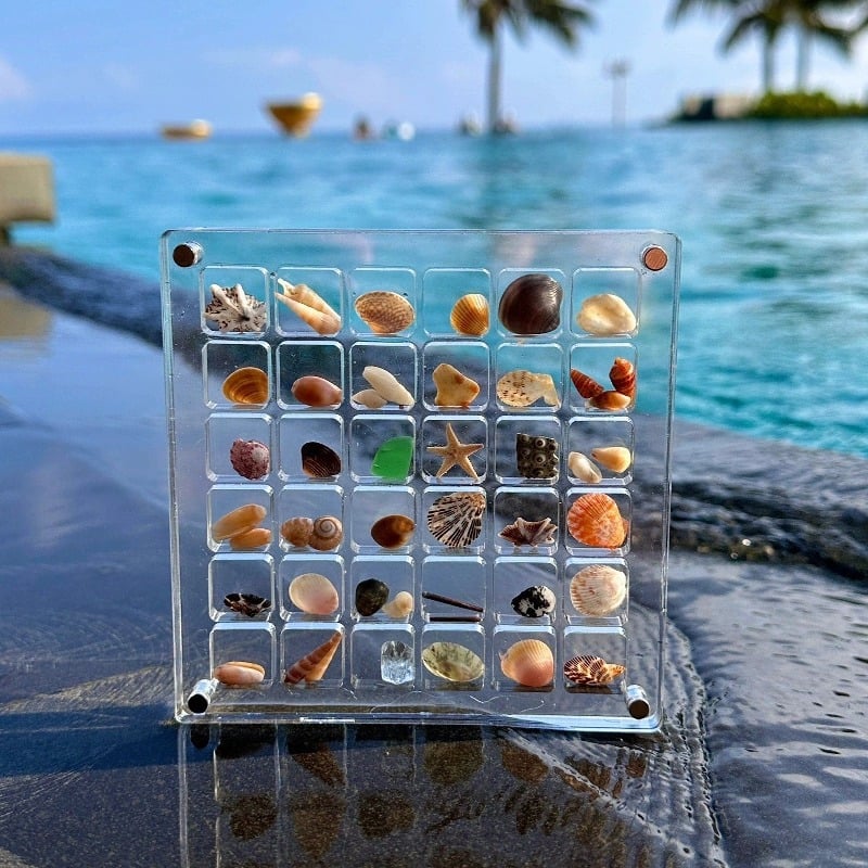 Acrylic Magnetic Seashell Storage Box