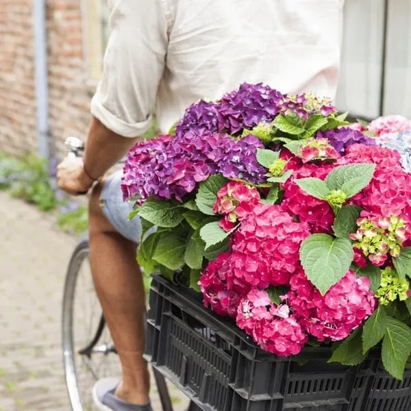 Outdoor Artificial Hydrangea Flowers