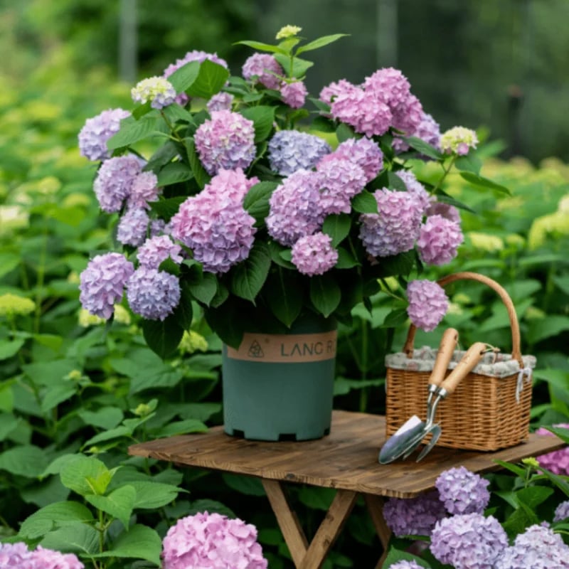 Outdoor Artificial Hydrangea Flowers