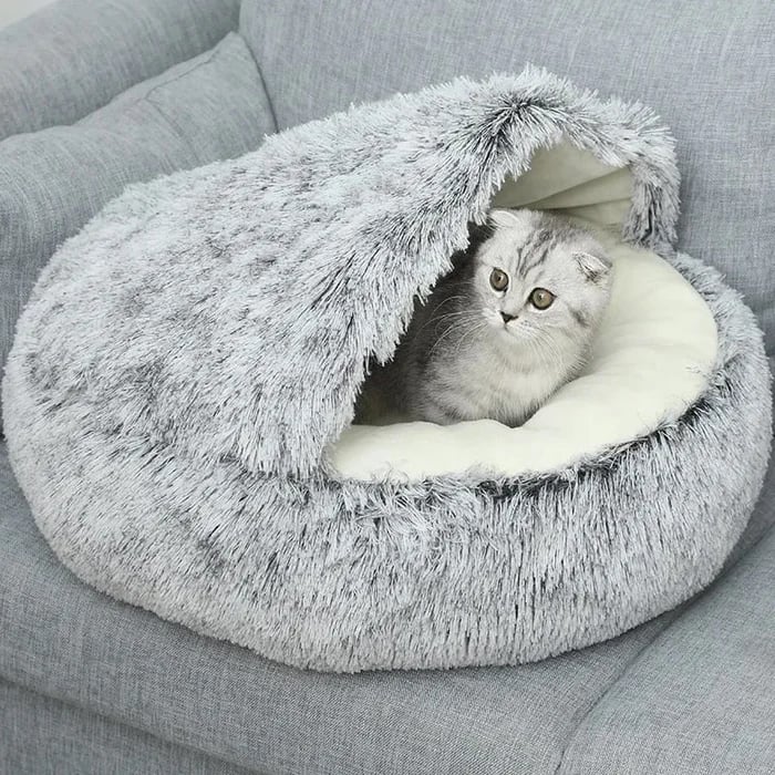 🔥49% OFF🔥Plush bed for dogs & cats🐶🐱