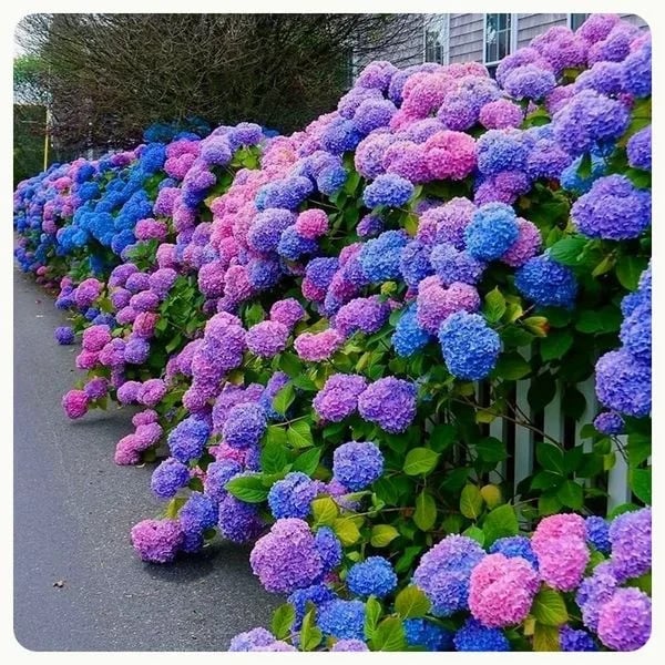 Outdoor Artificial Hydrangea Flowers