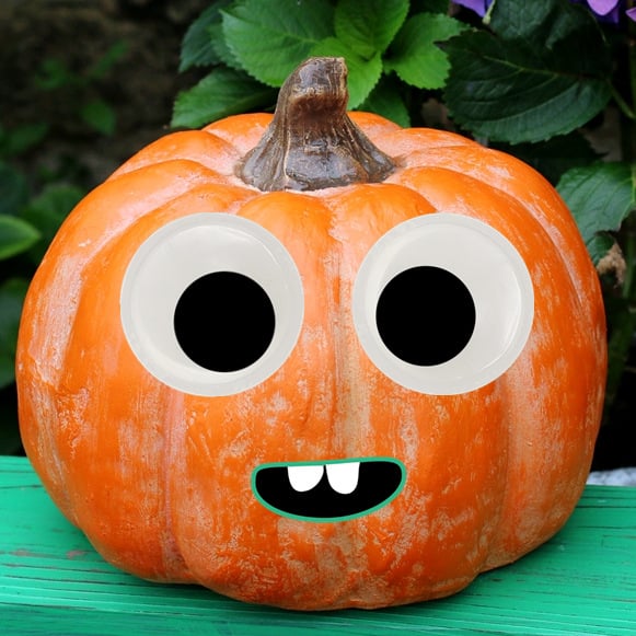 🔥Giant Wiggle Googly Eyes with Self Adhesive