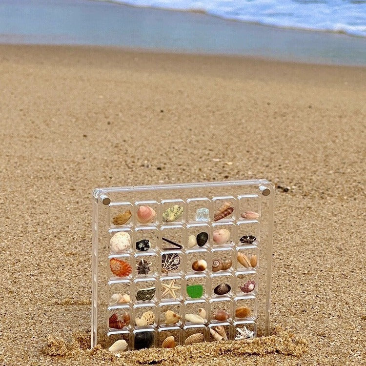 Acrylic Magnetic Seashell Storage Box